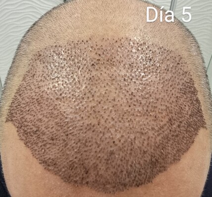 005.jpg